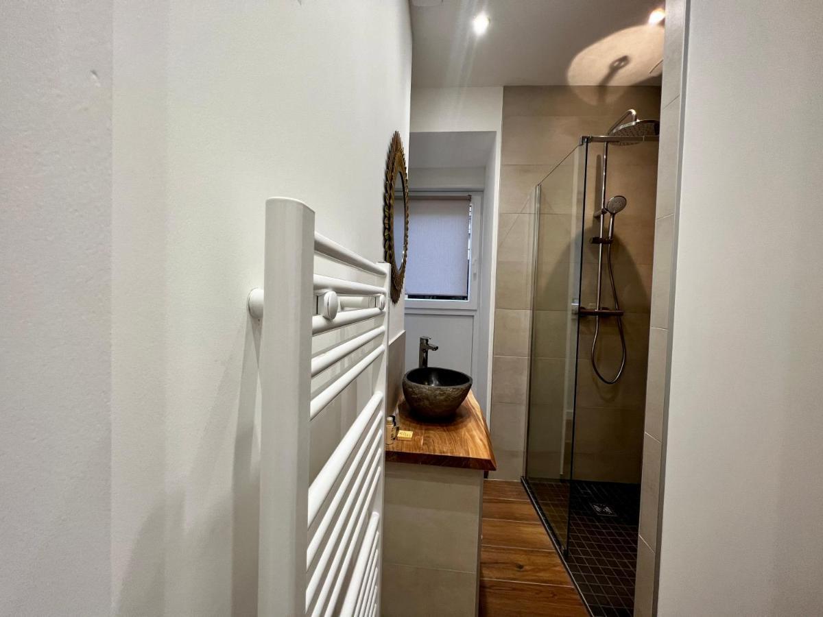 Appartement Cosy Centre Ville Roanne Dış mekan fotoğraf