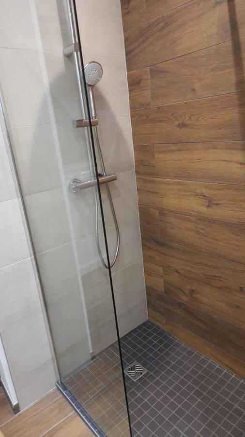 Appartement Cosy Centre Ville Roanne Dış mekan fotoğraf