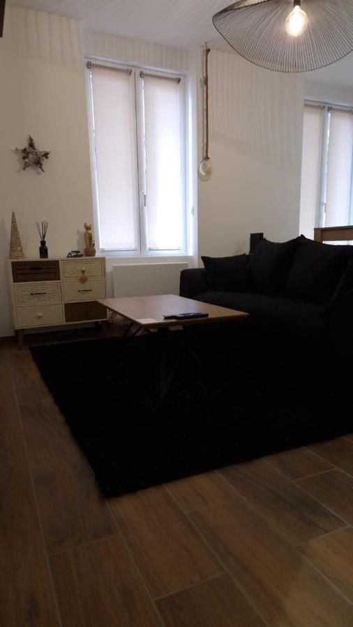 Appartement Cosy Centre Ville Roanne Dış mekan fotoğraf