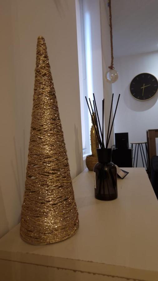 Appartement Cosy Centre Ville Roanne Dış mekan fotoğraf