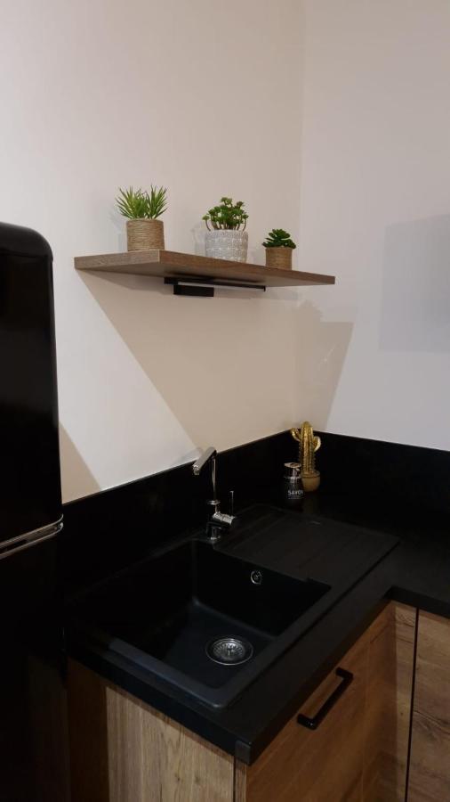 Appartement Cosy Centre Ville Roanne Dış mekan fotoğraf